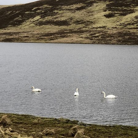 Scalloway Caravan Park 外观 照片